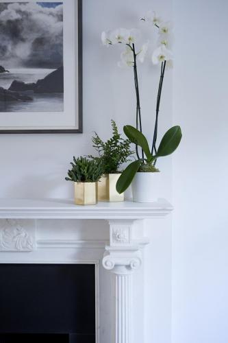 Notting Hill Living Room Fireplace Detail